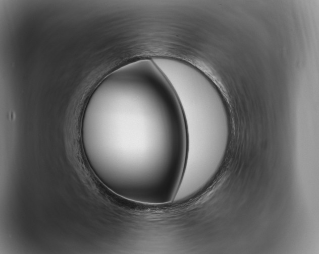 X0000090490481200707130933