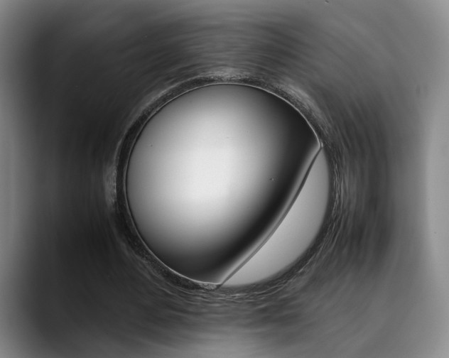 X0000090490484200707130933