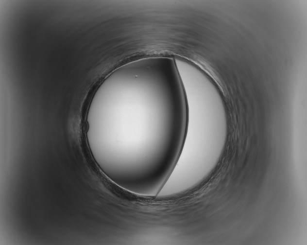 X0000090490485200707130933