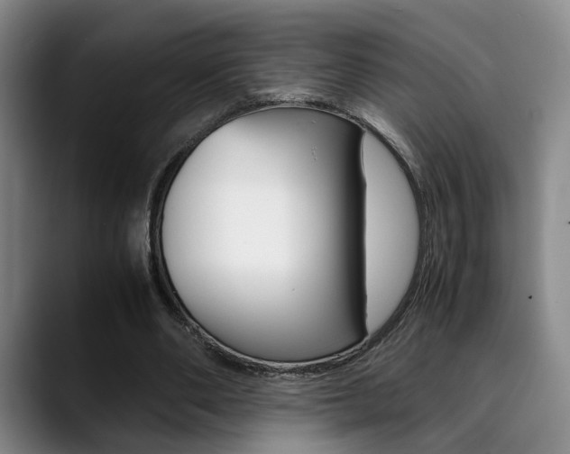 X0000090490486200707130933