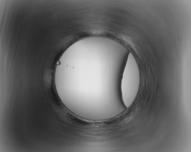 X0000090490495200707130933