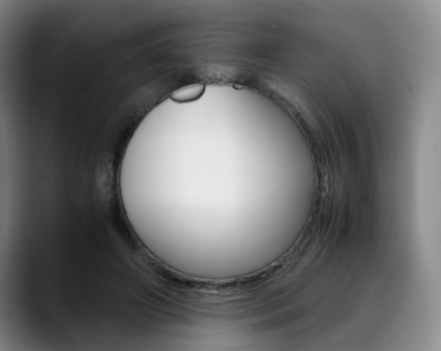 X0000090490498200707130933