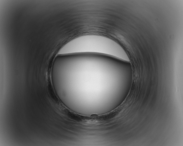 X0000090490500200707130933