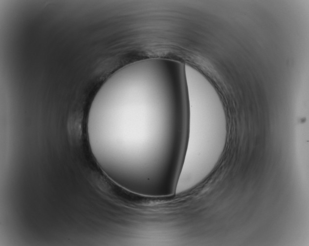 X0000090490501200707130933