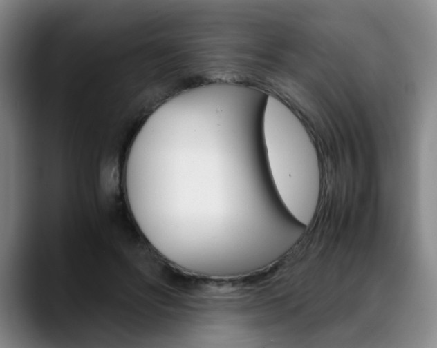 X0000090490502200707130933
