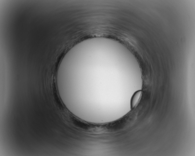 X0000090490503200707130933