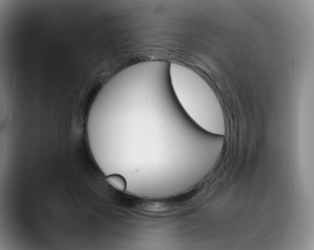 X0000090490507200707130933