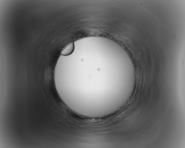 X0000090490511200707130933