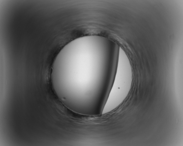 X0000090490517200707130933