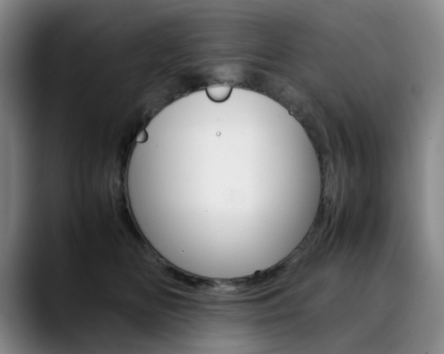 X0000090490518200707130933