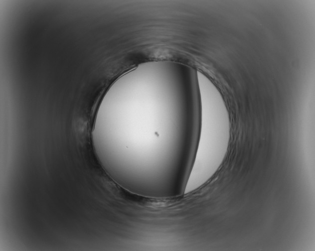 X0000090490521200707130933