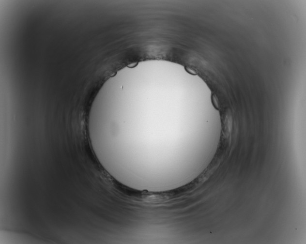 X0000090490522200707130933