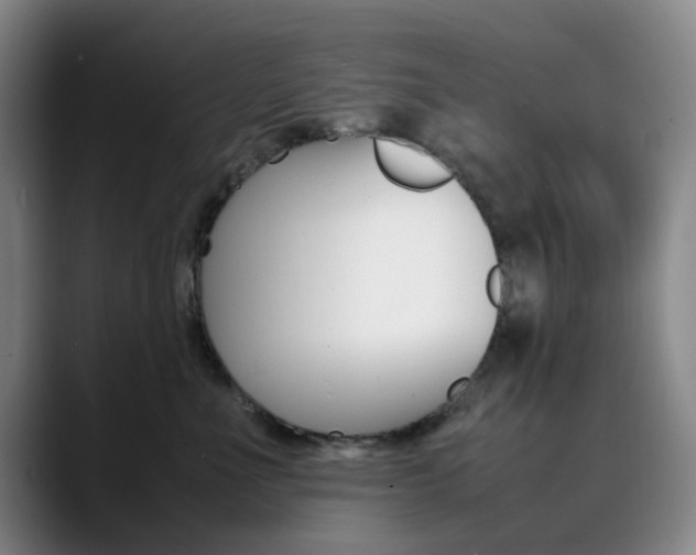 X0000090490523200707130933