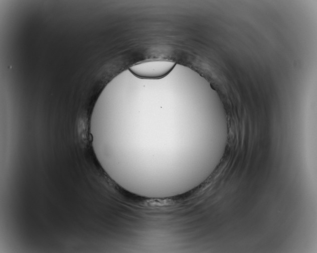 X0000090490526200707130933