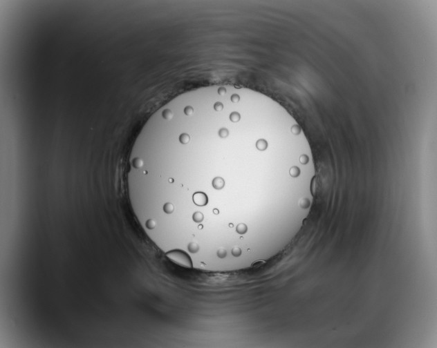 X0000090490527200707130933