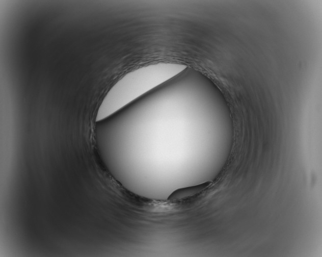 X0000090490528200707130933