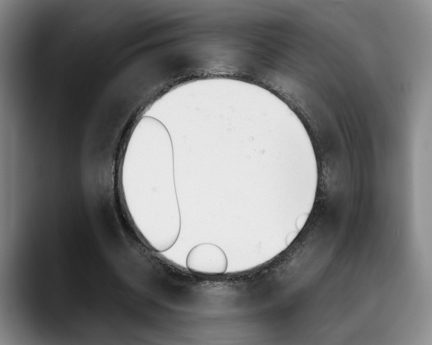 X0000090490534200707130932