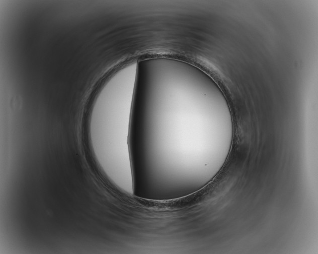 X0000090490535200707130932