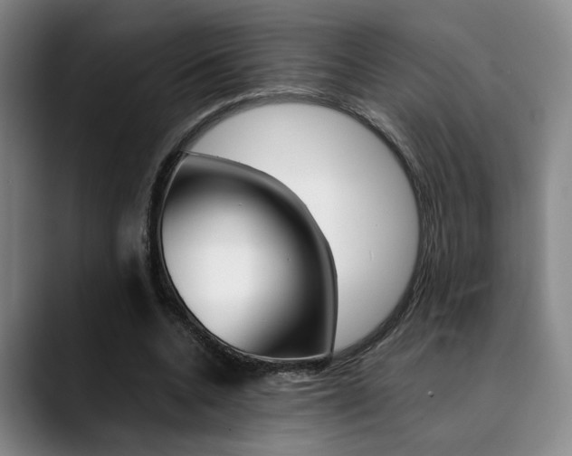 X0000090490536200707130932