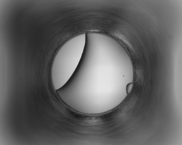 X0000090490541200707130932