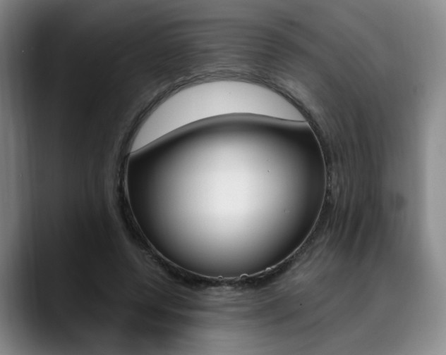 X0000090490544200707130932