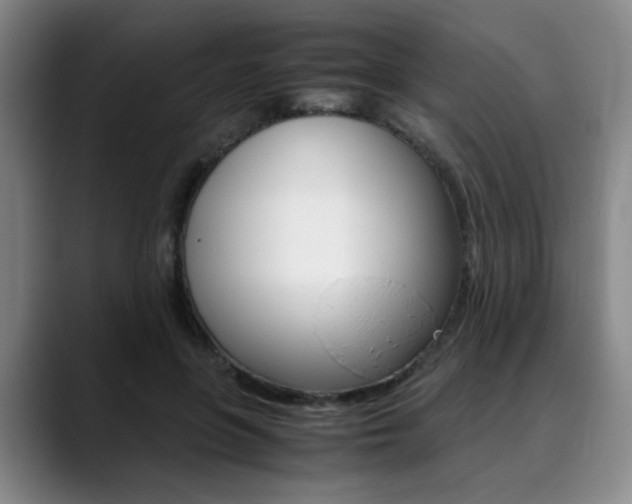 X0000090490551200707130932