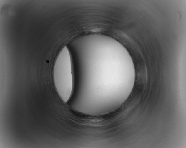 X0000090490555200707130932