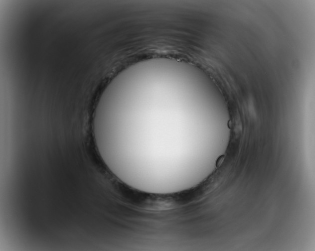 X0000090490559200707130932