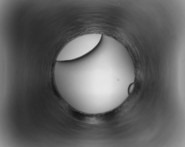 X0000090490561200707130932