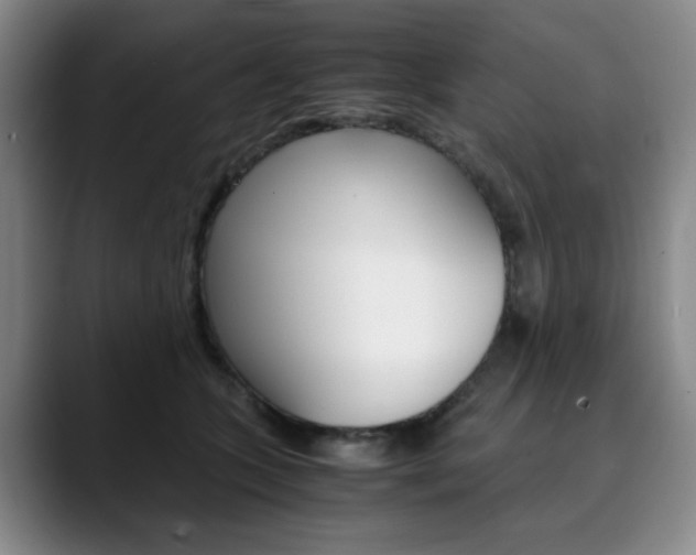 X0000090490563200707130932