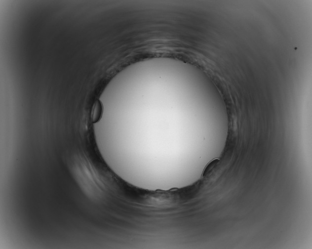 X0000090490567200707130933