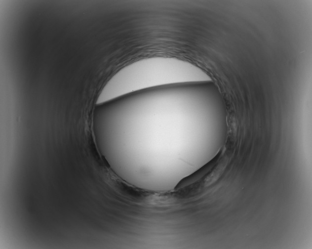 X0000090490568200707130933