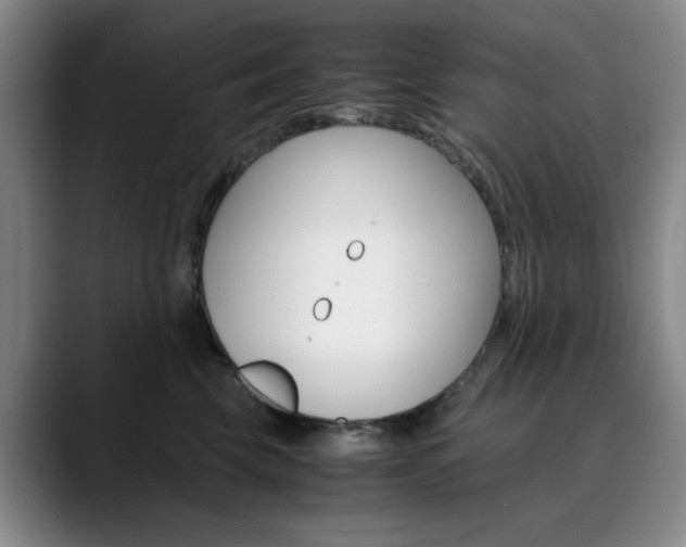 X0000090490569200707130933