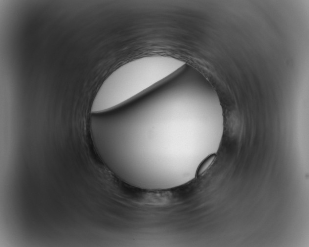 X0000090490571200707130933