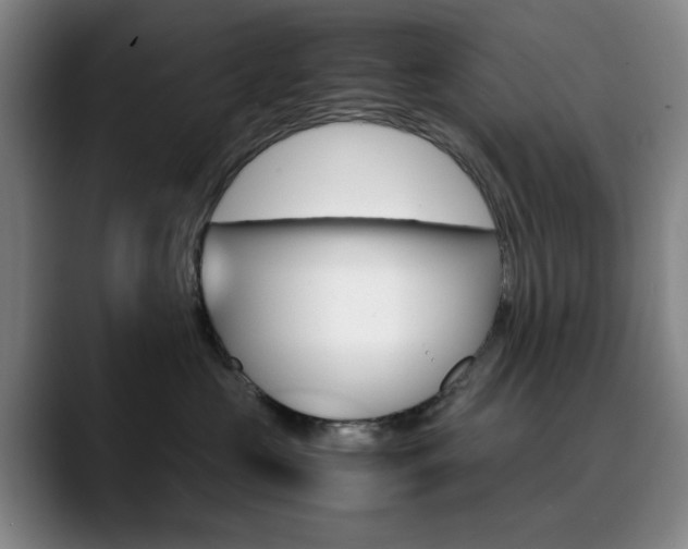 X0000090490573200707130933