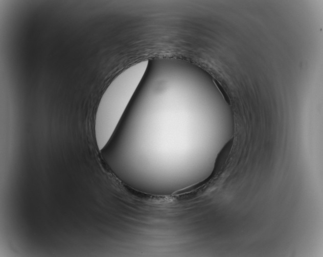 X0000090490576200707130933