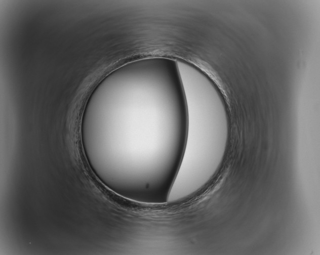 X0000090490577200707130932
