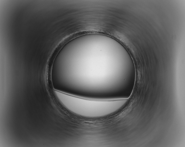 X0000090490580200707130932