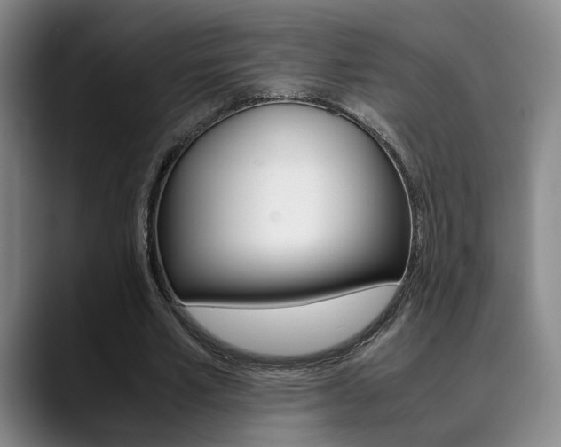 X0000090490581200707130932