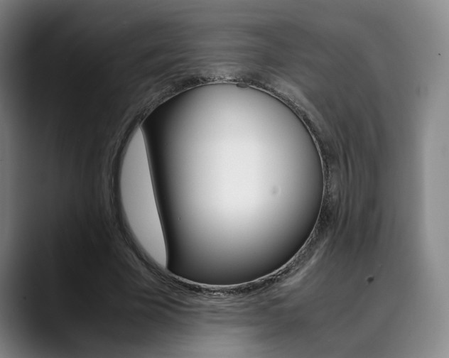 X0000090490585200707130932