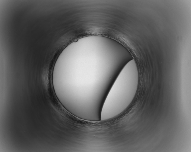 X0000090490586200707130932