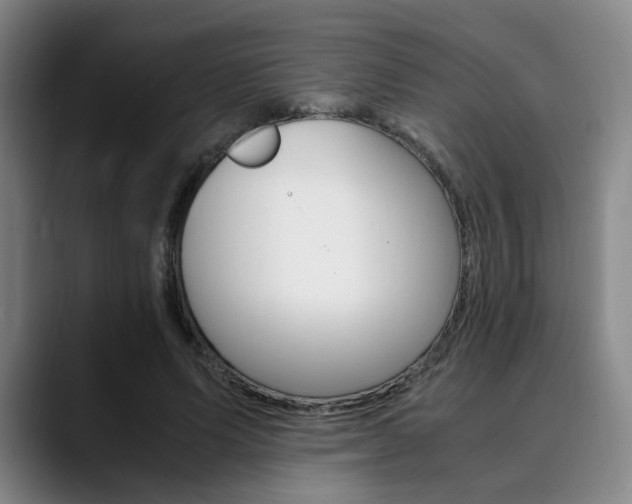 X0000090490591200707130932