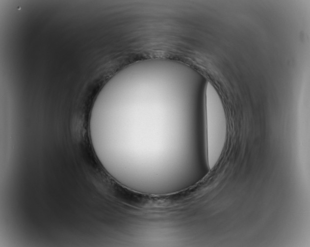 X0000090490599200707130932