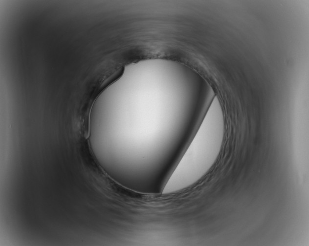 X0000090490601200707130932