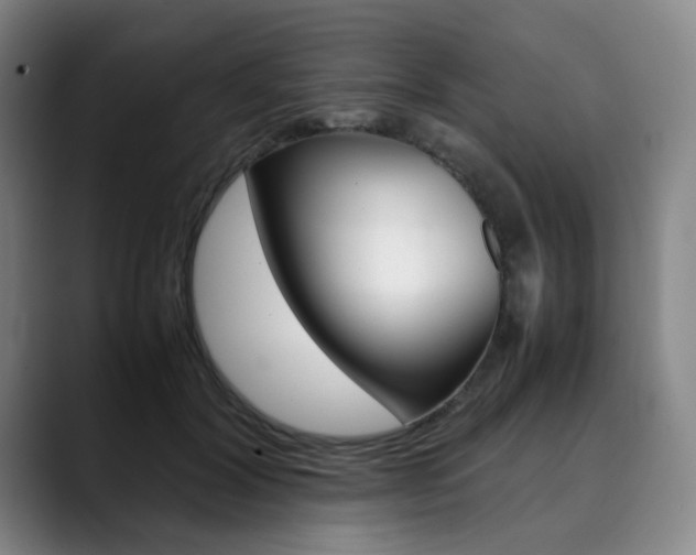 X0000090490604200707130932