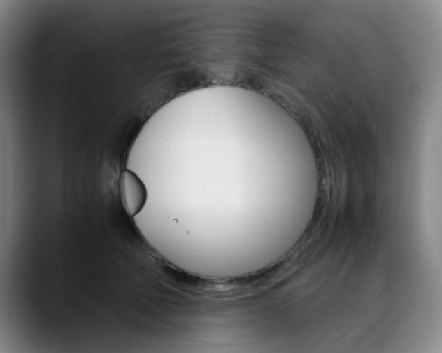 X0000090490610200707130932