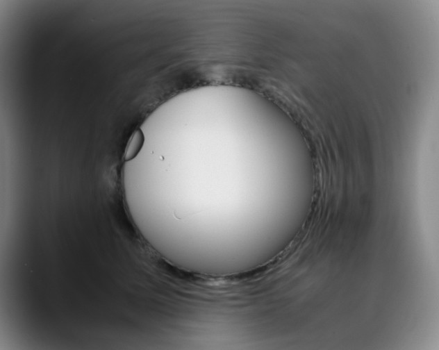 X0000090490611200707130932