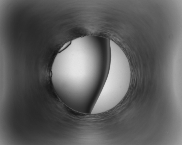 X0000090490613200707130932