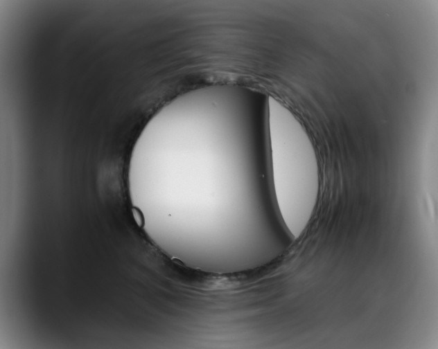 X0000090490616200707130932