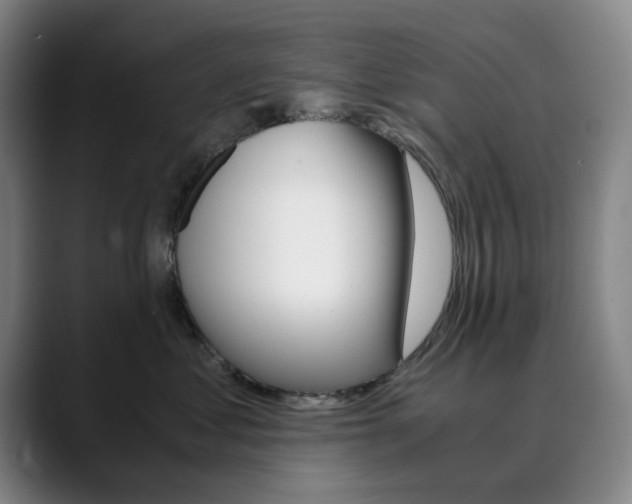 X0000090490621200707130931